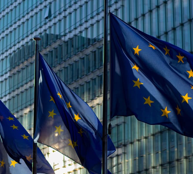 EU flags
