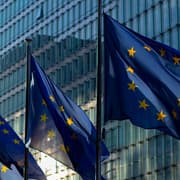 EU flags