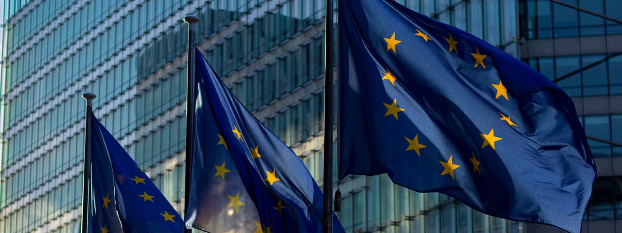 EU flags