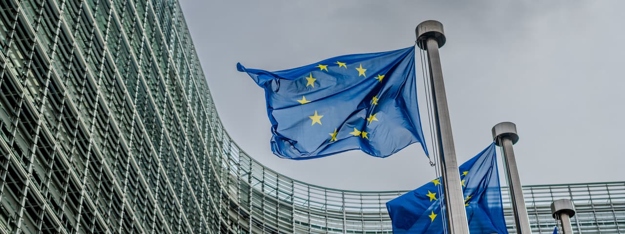 EU building and flags 