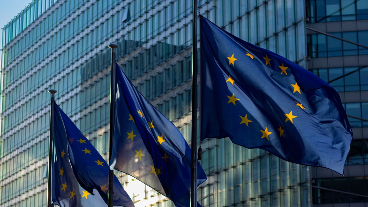 EU flags